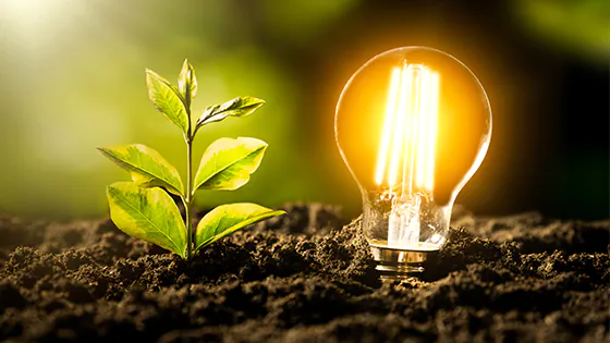 LED-Lampe neben Baum-Setzling in der Erde LED-Lampe neben Baum-Setzling in der Erde